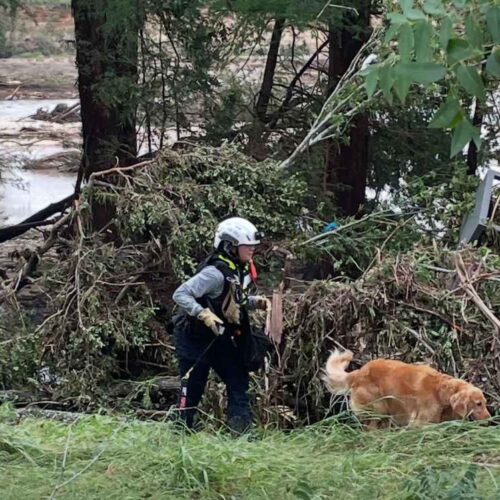 Foto: Equipos de rescate trabajan incansablemente en Texas tras inundaciones que dejaron al menos 82 muertos y decenas de desaparecidos. Foto: Office of the Governor Greg Abbott