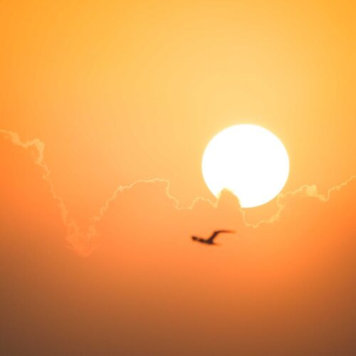 Ante la canícula, es importante tomar medidas para cuidar nuestra salud y hacer un uso responsable del agua. Foto: Francesco Ungaro