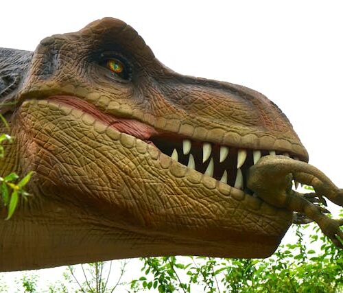 Jurassic World: Renace llega a los cines con un nuevo elenco y una trama que busca recuperar el espíritu de la saga original. Foto: Mike Bird