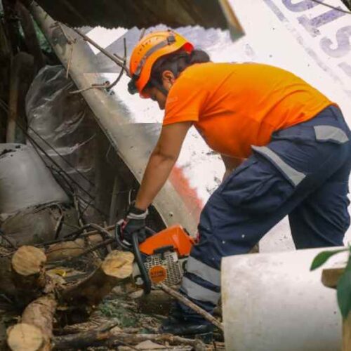 Equipo Táctico Operativo realiza la remoción de un árbol caído sobre una vivienda en la calle Los Llanitos, pasaje Montero, colonia San Pedro, distrito de Ayutuxtepeque, San Salvador Centro. Foto: Procivil.