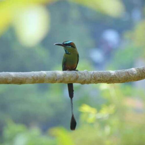 Independencia. La Embajada de Estados Unidos en El Salvador publicó un mensaje en la red social X. Foto: Cortesía.
