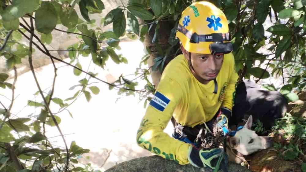 Cuando por fin el rescatista de Comandos de Salvador la subió, Princesa –todavía con el susto en los ojos– fue entregada al Centro de Resguardo Aguilares. Foto: Cortesía.