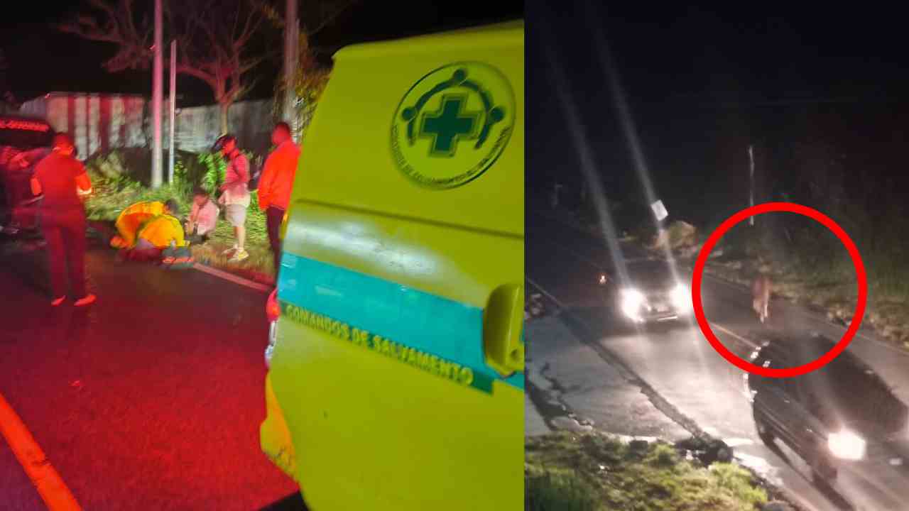 Unidades de socorro atendieron al paciente que chocó contra una vaca. Foto: Cortesía.