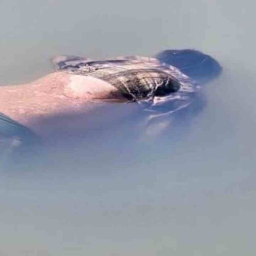 Autoridades trabajan en el hallazgo de un cadáver en la presa 15 de Septiembre. Se desconoce su identidad y las causas de la muerte. Foto: Comandos de Salvamento.